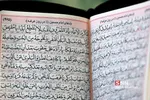 عرفه