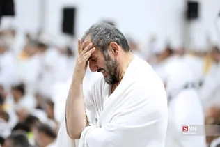 دبب