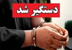 عامل جنایت خیابان سهروردی دستگیر شد