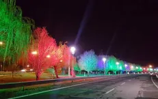 آلودگی نوری، عامل مرگ تدریجی درختان ولیعصر