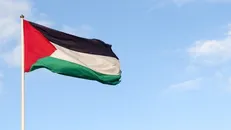 شهادت نوجوان فلسطینی بر اثر شدت جراحات وارده در شرق غزه