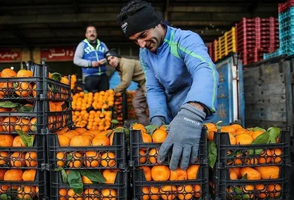 بلاتکلیفی قیمت سیب دولتی در گلستان/ میوه گران&zwnj;تر از نرخ بازار عرضه می شود؟