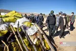 امحاء ۱۸ تن مواد مخدر در شیراز
