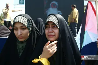 دبب