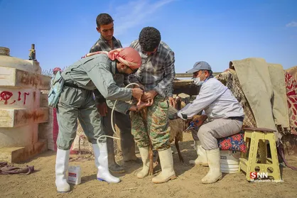 اردوی جهادی دامپزشکی در استان خراسان شمالی