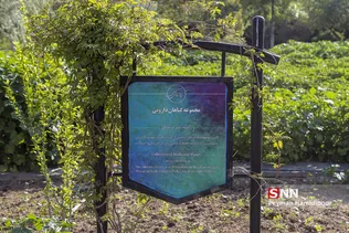 باغ گیاه شناسی