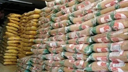 کشف ۵ تن برنج قاچاق در بانه