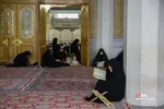 آیین ترتیل‌خوانی قرآن کریم در حرم حضرت معصومه(س)
