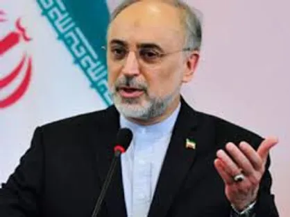 من به عملکرد برجام از صد نمره ۷۰ می&zwnj;دهم/ آمریکایی&zwnj;ها به عهد خود وفا نکردند