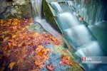 fall