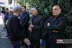 کاشانی
