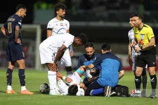 دبب