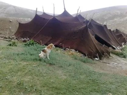 آمادگی عشایر سمنان در برابر شرایط نامساعد جوی تقویت می&zwnj;شود