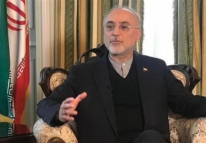 صالحی: رهبری اجازه نمی&zwnj;دادند صنعت هسته&zwnj;ای با برجام متوقف شود