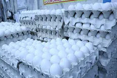 قیمت تخم مرغ پوسته سفید در میادین و بازار‌های میوه و تره‌بار اعلام شد