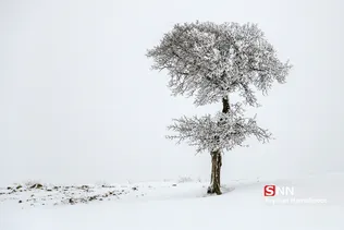 طبیعت برفی