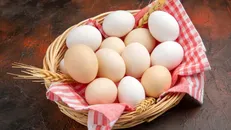مجوز خرید حمایتی ۳۰ هزار تن تخم‌مرغ صادر شد
