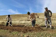 عزم مشترک مرتع‌داران و منابع طبیعی گچساران برای احیای پوشش گیاهی