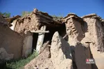 دبب