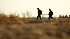 بدان امید دهم جان، که خاک کوی تو باشم