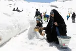 دبب