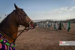 تعزیه میدانی صحرارود فسا