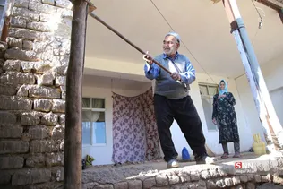 دبب