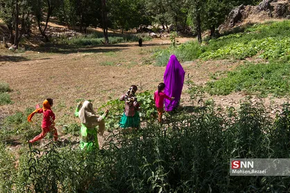 پیدایش خشونت&zwnj;هایی با گروکشی کیفری در خانوداه&zwnj;ها/ &laquo;امنیت زنان&raquo; در پستوی دولت خاک می&zwnj;خورد
