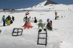 دبب