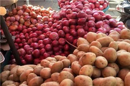 قیمت سیب&zwnj;زمینی،خیار و گوجه&zwnj;فرنگی در بازار میوه و تره بار اعلام شد