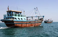 توقیف بیش از ۳۰ هزار لیتر سوخت قاچاق در استان بوشهر