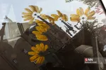 عزاداری 28 صفر در محه‌های شرق تهران