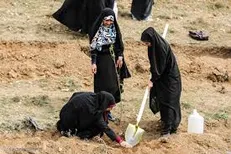 جشن بزرگ درختکاری در بوستان شهید نیاکی برگزار می‌شود