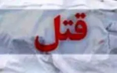 رئیس مؤسسه مالی، قربانی خشم مالباخته