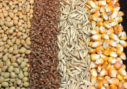 دولت ۷ کیلو دان به ازای یک کیلوگرم مرغ را به چه کسانی داده است؟