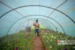 صدای پای بهار