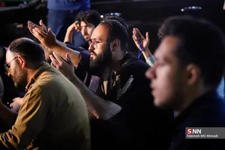 دبب