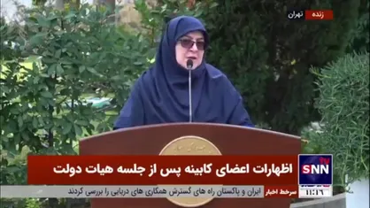 مهاجرانی: شاهد یک حباب در حوزه سکه هستیم/ دولت در کنترل بازار سکه و طلا دچار مشکل جدی نیست