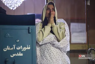 دبب