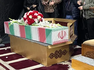 آلبوم عکس