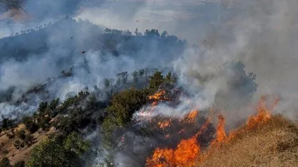 اطفای کامل حریق مراتع جنگلی روستای &laquo;نمنق&raquo; جلفا تا فردا ظهر انجام می&zwnj;شود