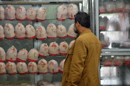 آقای استاندار؛ با توجه خودکفایی مرغ در گیلان چرا شاهد روند افزایشی قیمت هستیم!