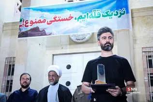 دبب