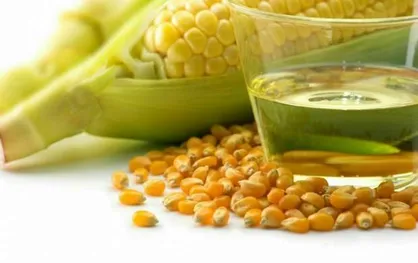 ۴ افزودنی که به سم در غذا معروف هستند