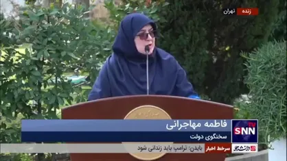 مهاجرانی: دولت از طریق قوه قضاییه در حال پیگیری مساله دو خبرنگار بازداشتی است