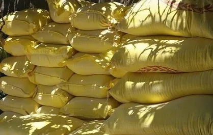 دپو غیر قانونی هزار کیسه آرد یارانه&zwnj;ای در تهران