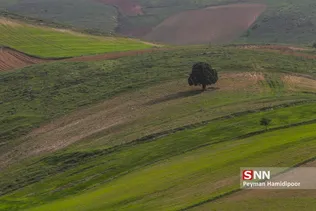 جلوه های زیبای طبیعت