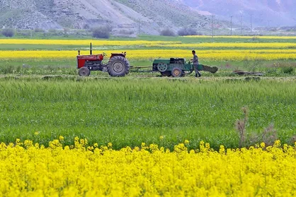 اجرای الگوی کشت نیازمند همکاری و عزم همگانی است