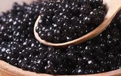 چین بزرگترین تولیدکننده ماهیان خاویاری در دنیا شد
