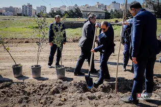 درخت